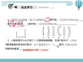 物理八年级上第5章第1节　透镜作业教学课件