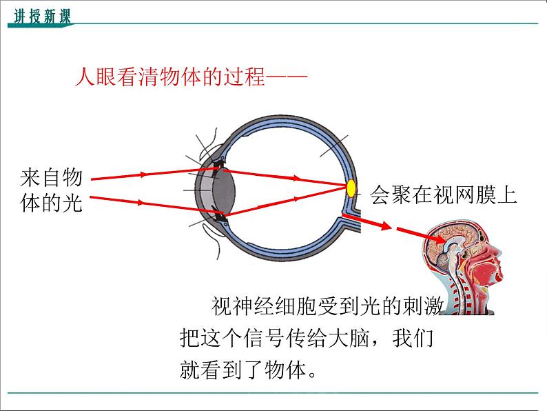 物理八年级上第5章第4节  眼睛和眼镜教学课件第6页