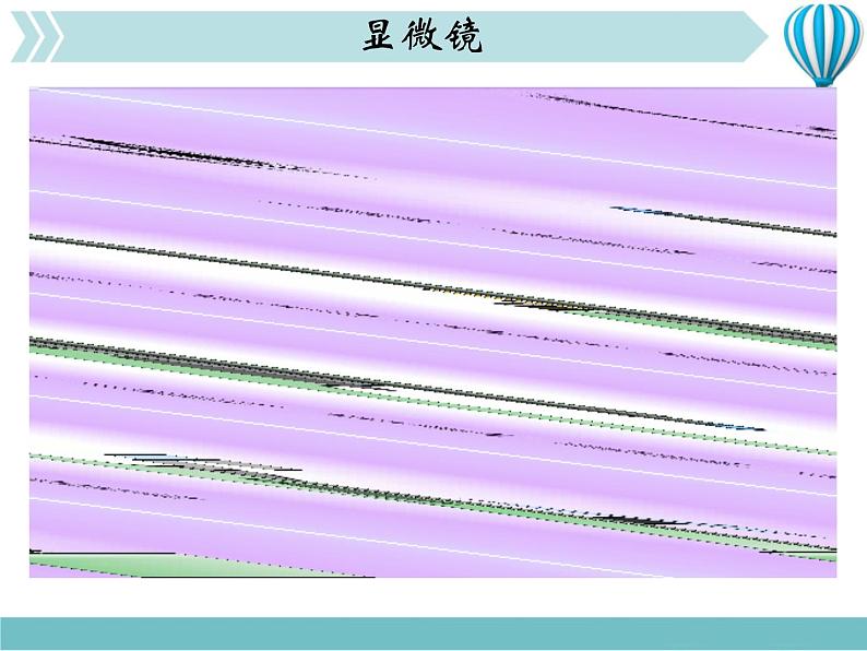 物理八年级上第5章第5节 显微镜和望远镜教学教学课件06