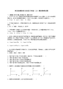 物理八年级上河北省廊坊市文安县八年级（上）期末物理试卷(WORD版，含解析)