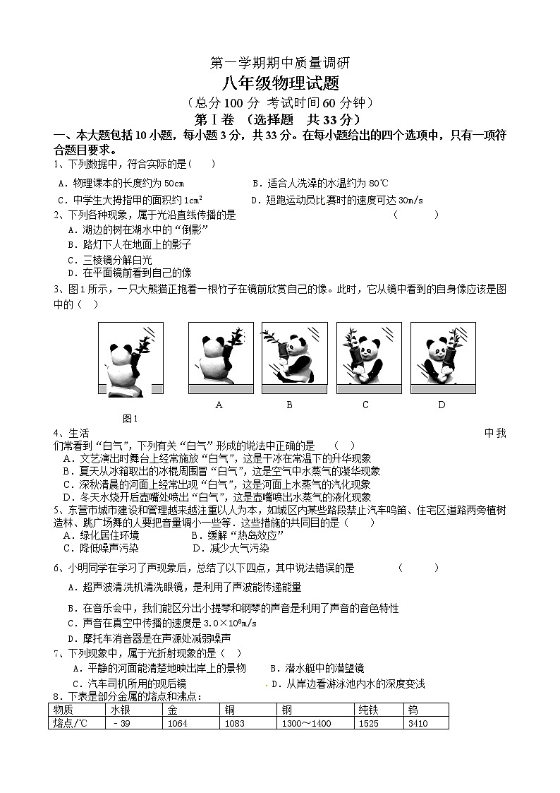 物理八年级上山东省东营市广饶县乐安中学八年级上学期期中考试物理试题01