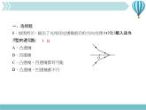 物理八年级上复习训练第5章　透镜及其应用教学课件