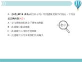 物理八年级上复习训练第5章　透镜及其应用教学课件