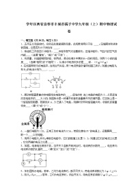 九年级物理江西省宜春市丰城市孺子中学九年级（上）期中物理试卷(有答案）