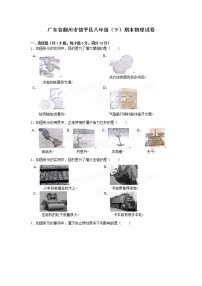 物理八年级下 广东省潮州市饶平县级（下）期末物理试卷（word版，含解析）