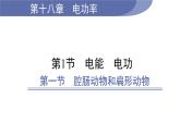 18.3 测量小灯泡的电功率--(课件+教案）人教版九年级物理下册
