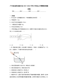 广东省汕尾市陆丰市2021-2022学年八年级上学期期末物理试题(word版含答案)