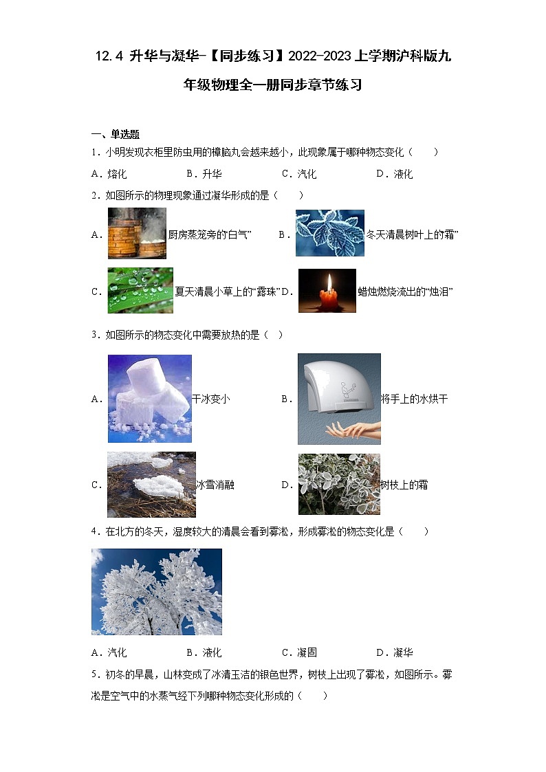 12.4升华与凝华-【同步练习】2022-2023学年沪科版九年级物理全一册 (word版含答案)01