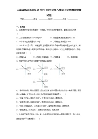 云南省临沧市凤庆县2021-2022学年八年级上学期期末物理试题(含答案)