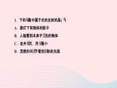 物理人教版八年级上册 同步教学课件第4章-光现象 第2节 光的反射