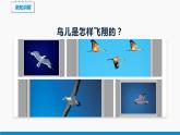 8.4 流体压强与流速的关系 同步课件 初中物理沪科版八年级全一册