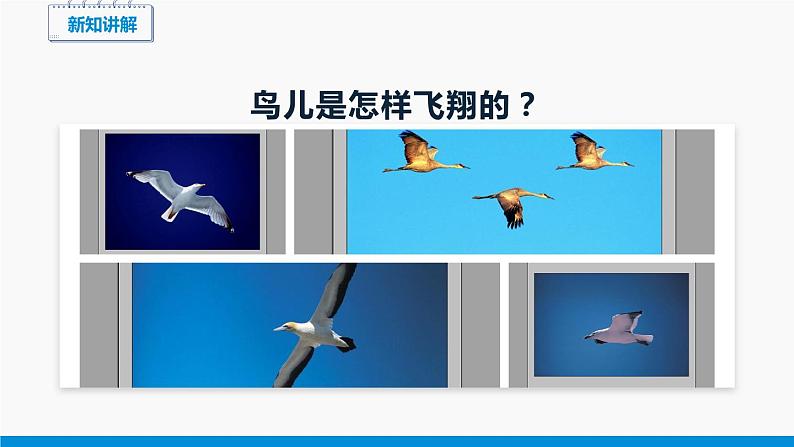 8.4 流体压强与流速的关系 同步课件 初中物理沪科版八年级全一册第3页