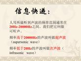 3.3 超声与次声 同步课件 初中物理沪科版八年级全一册