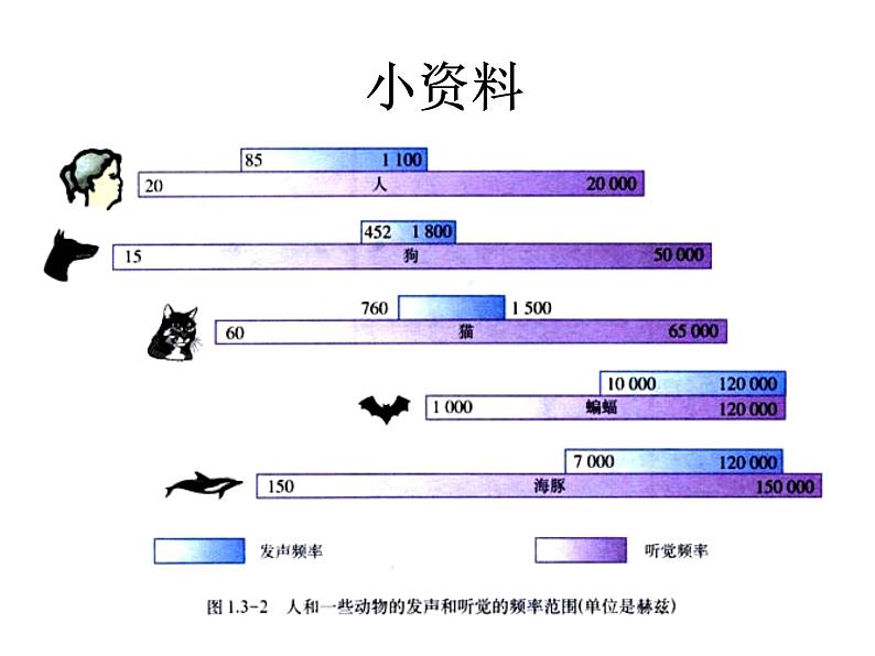 3.3 超声与次声 同步课件 初中物理沪科版八年级全一册第5页