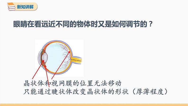 第五章 第4节 眼睛和眼镜 同步课件 初中物理人教版八年级上册08