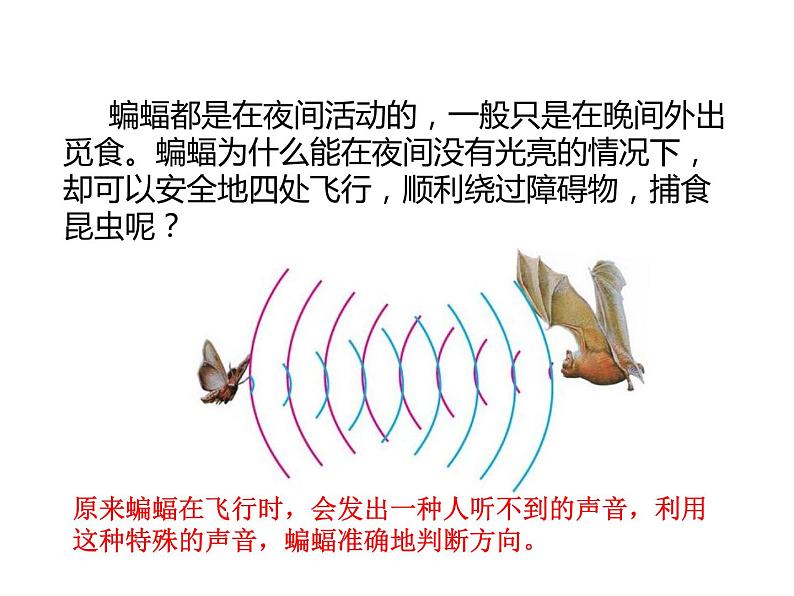 3.3 超声和次声 同步课件 初中物理沪科版八年级全一册第3页