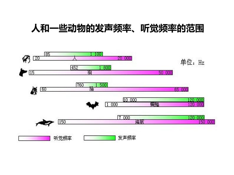 3.3 超声和次声 同步课件 初中物理沪科版八年级全一册第4页