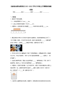 安徽省合肥市肥西县2021-2022学年八年级上学期期末物理试题(含答案)