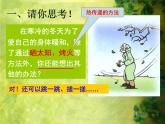苏科版九年级上册物理  12.4 机械能和内能的相互转化 课件