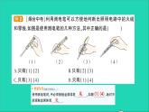 物理沪科版九年级同步教学课件第15章 探究电路 第5节 家庭用电