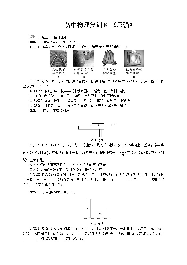 中考物理专题复习分类集训（真题版） 分类集训：8　压强（含答案）第1页