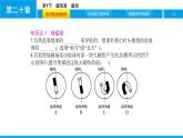 物理人教版九年级下册同步教学课件第20章 第1节 磁现象 磁场