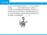 物理人教版九年級(jí)下冊(cè)同步教學(xué)課件第20章 本章中考練