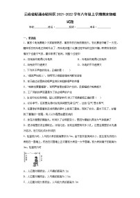 云南省昭通市昭阳区2021-2022学年八年级上学期期末物理试题(含答案)