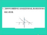 物理北师大版八年级下册同步教学课件第6章 常见的光学仪器 教材图片延伸 作业