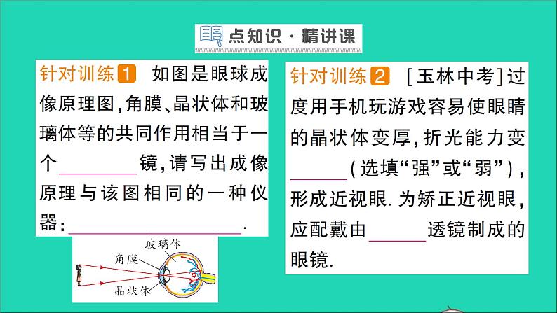 物理北师大版八年级下册同步教学课件第6章 常见的光学仪器 第4节 眼睛和眼镜 作业02