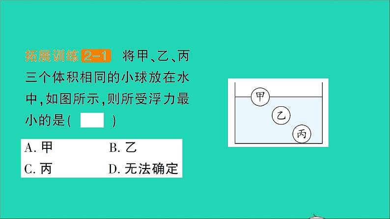 物理北师大版八年级下册同步教学课件第8章 压强与浮力 第5节 学生实验：探究__影响浮力大小的因素 作业第8页