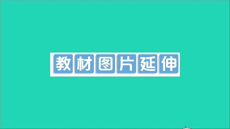 物理沪科版九年级同步教学课件第12章 温度与物态变化 教材图片延伸01