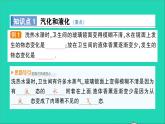 物理沪科版九年级同步教学课件第12章 温度与物态变化 第3节 汽化与液化