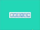 物理沪科版九年级同步教学课件第15章 探究电路 教材图片延伸