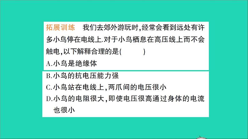 物理沪科版九年级同步教学课件第18章 电能从哪里来 第3节 电能的输送第8页