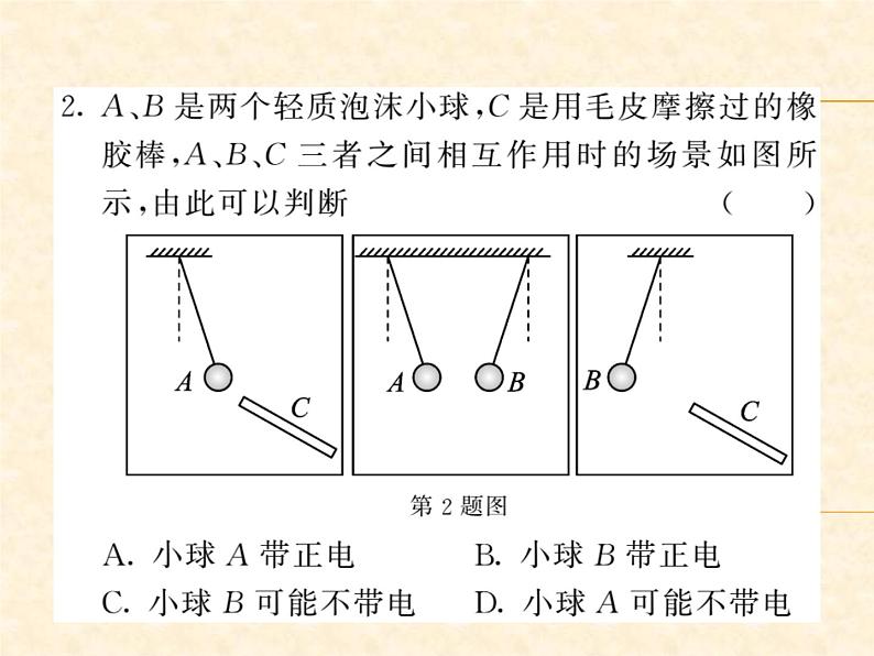 物理人教版九年级上册同步教学课件挑战中考·易错专攻 第15章第3页