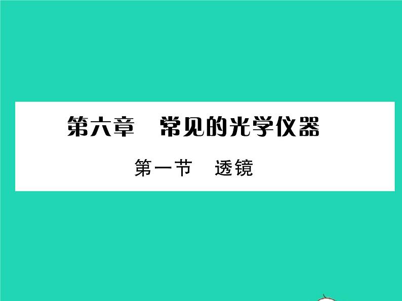 2022八年级物理下册第六章常见的光学仪器第一节透镜习题课件新版北师大版01