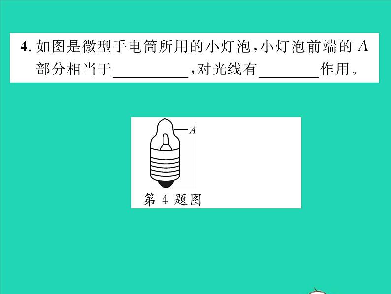 2022八年级物理下册第六章常见的光学仪器第一节透镜习题课件新版北师大版07