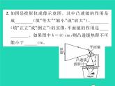 2022八年级物理下册第六章常见的光学仪器第三节生活中的透镜第1课时幻灯机与照相机习题课件新版北师大版