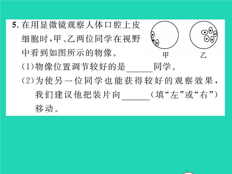 2022八年级物理下册第六章常见的光学仪器第三节生活中的透镜第2课时望远镜与显微镜习题课件新版北师大版08