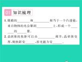 2022八年级物理下册第六章常见的光学仪器第四节眼睛和眼镜习题课件新版北师大版