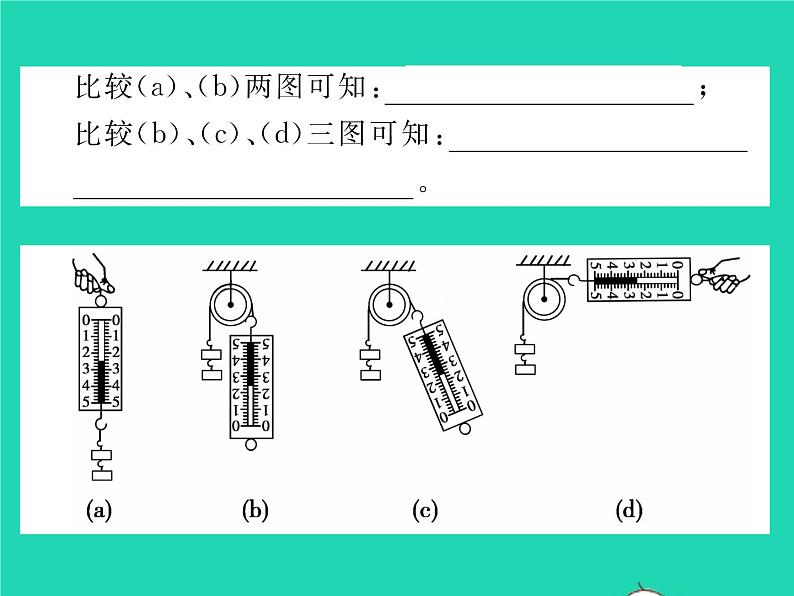 2022八年级物理下册第九章机械和功第二节滑轮习题课件新版北师大版05