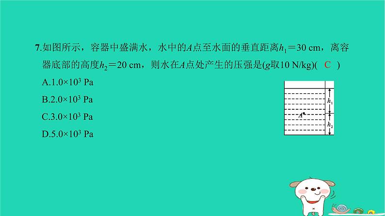 2022八年级物理下学期期中检测卷习题课件新版新人教版第8页