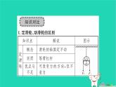 2022八年级物理下册第十二章简单机械章末复习与小结习题课件新版新人教版