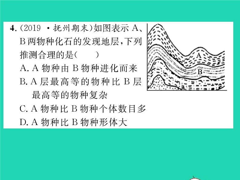 2022八年级物理下册第九章压强检测卷习题课件新版新人教版第7页