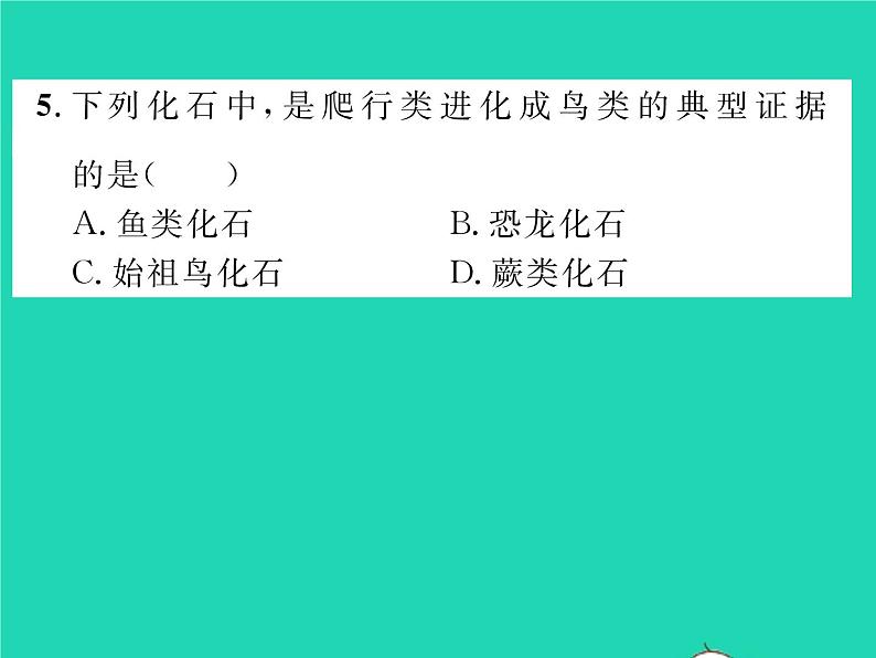 2022八年级物理下册第九章压强检测卷习题课件新版新人教版第8页