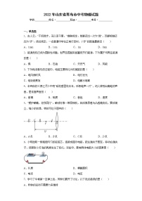 2022年山东省青岛市中考物理试题(含答案)