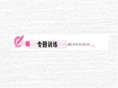 人教版九年级物理上册专题五电路故障分析与检测课件