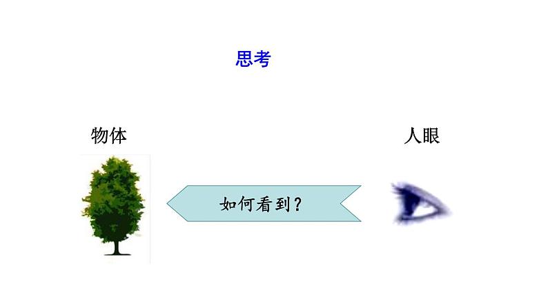 第4节  眼睛和眼镜第4页