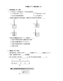 初中物理沪教版八年级下册5.1 温度 温标一课一练